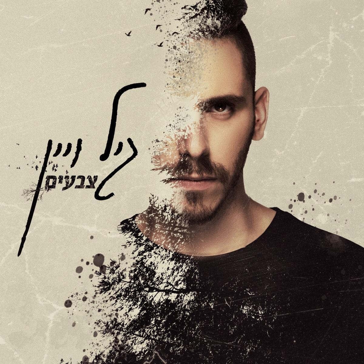 Album cover of צבעים