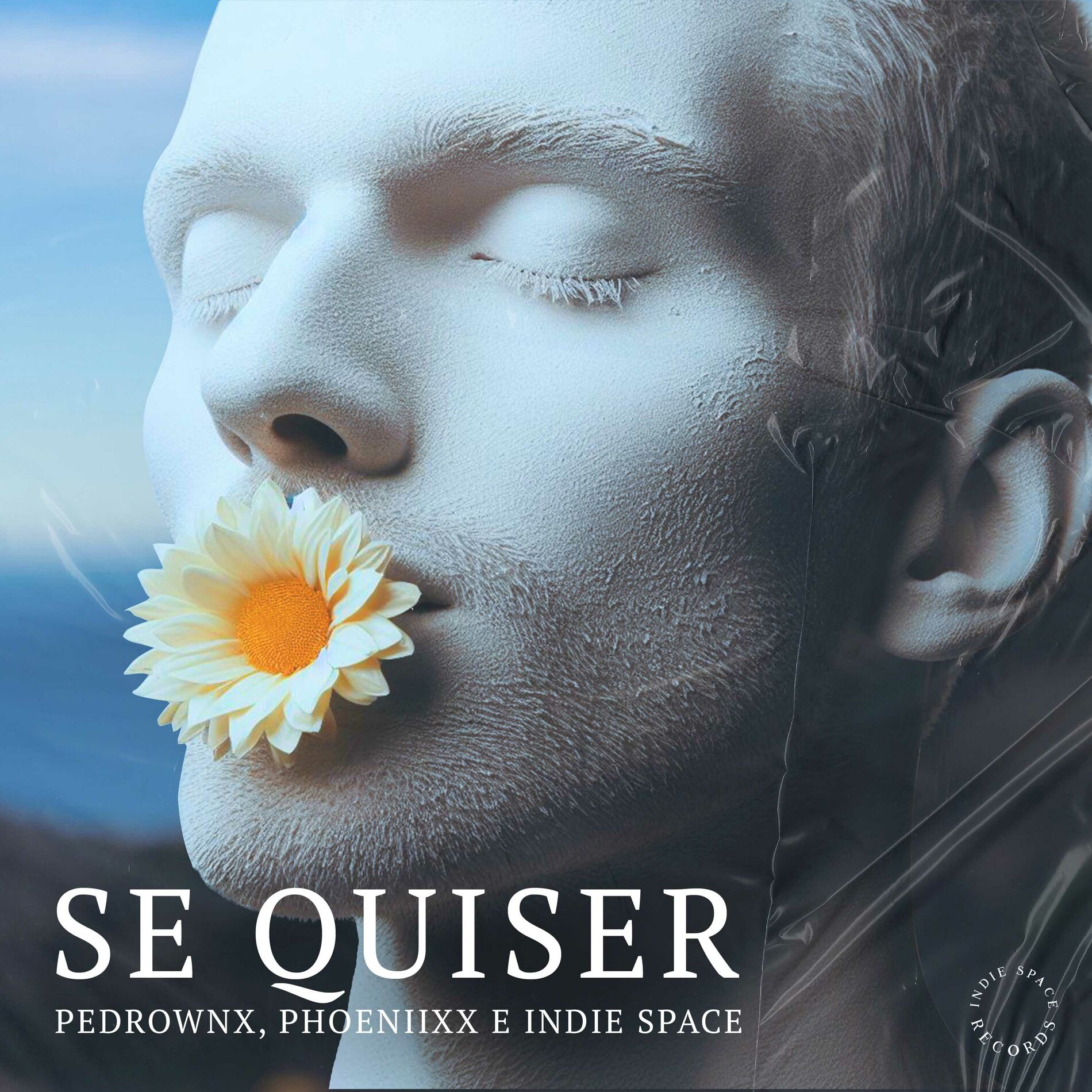Album cover of Se Quiser