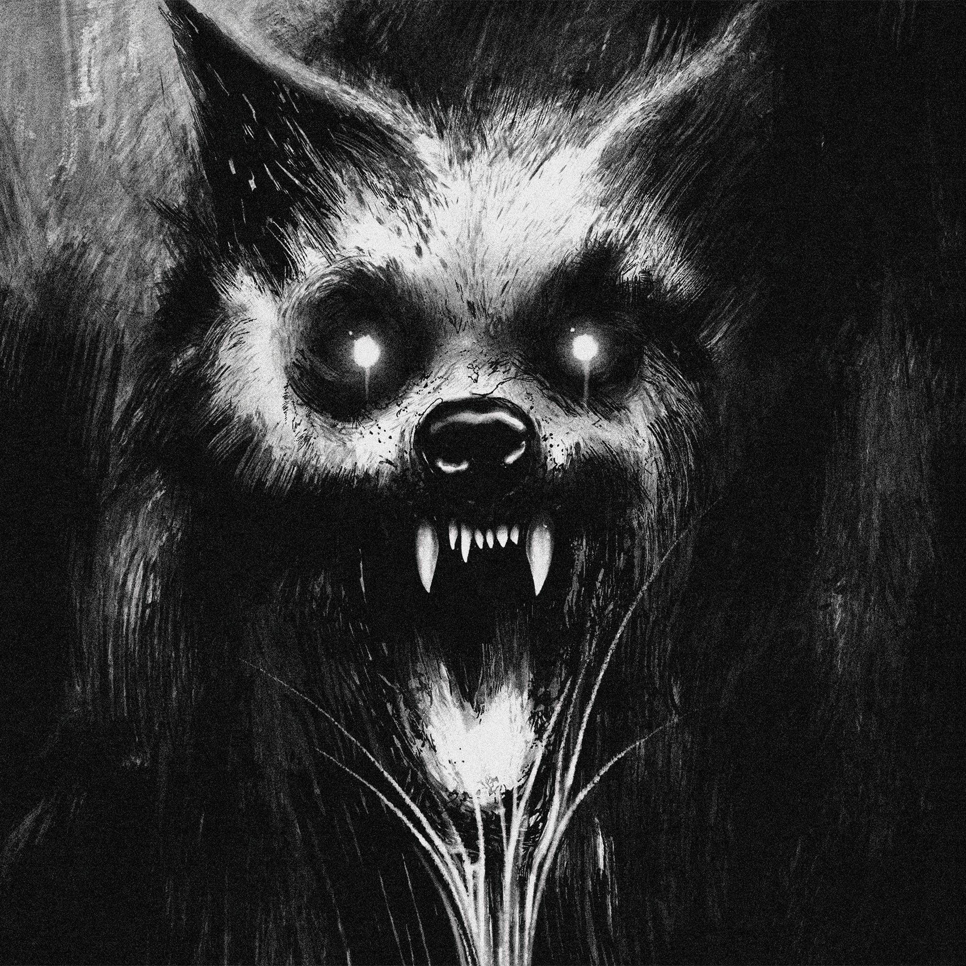 Album cover of Stray