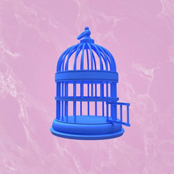 Cover of Illusionist