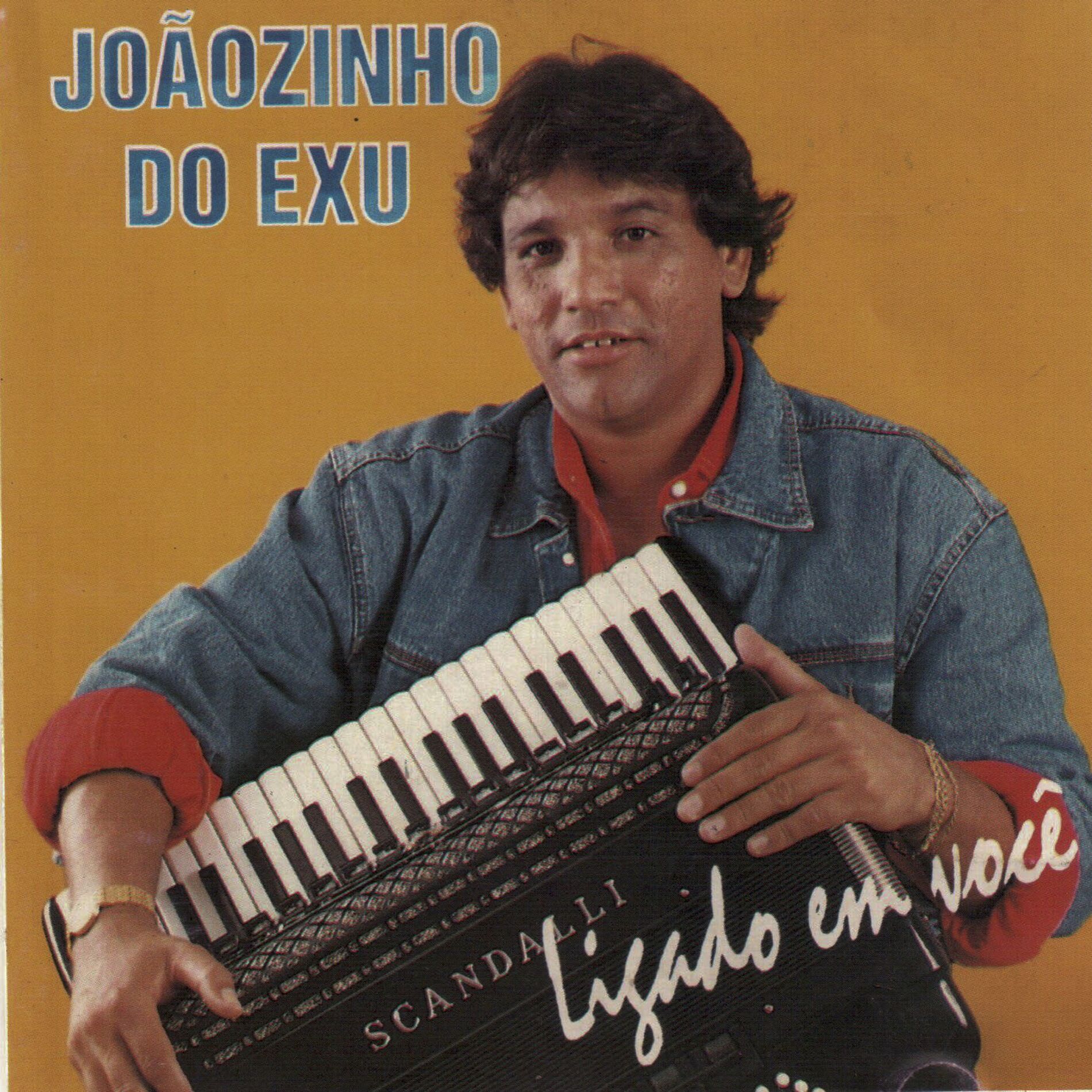 Album cover of Ligado em Você
