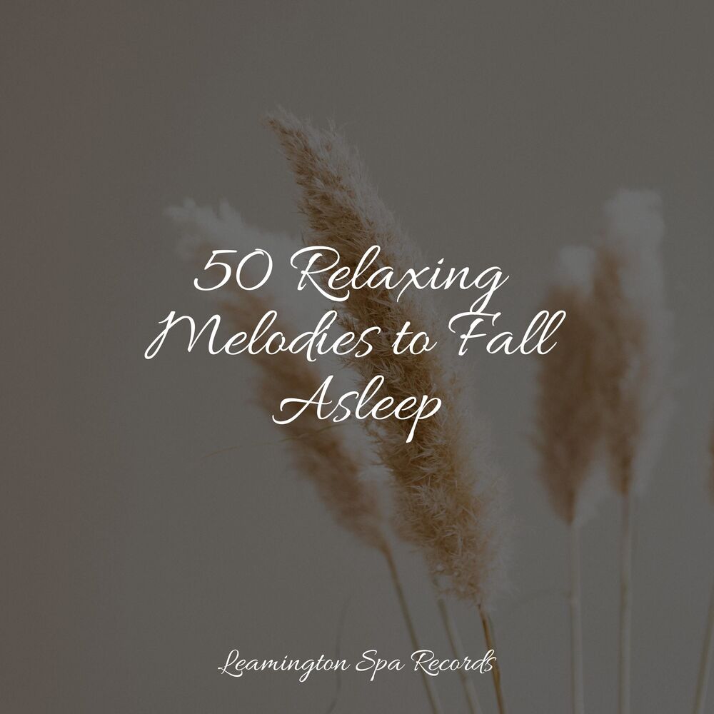 Picture of 50 Relaxing Melodies to Fall Asleep