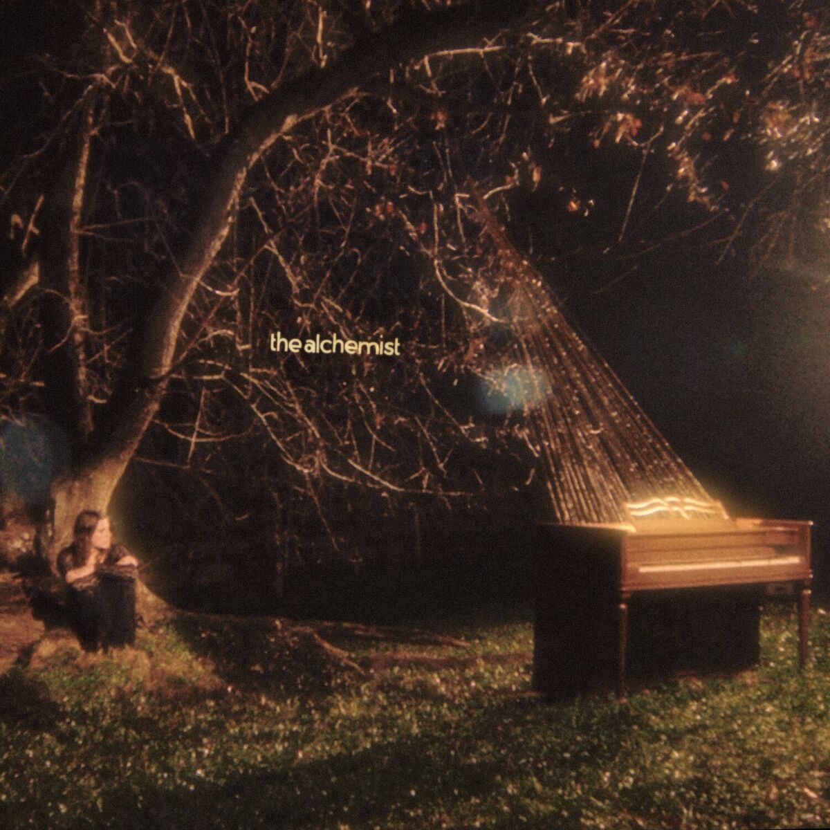 Album cover of The Alchemist