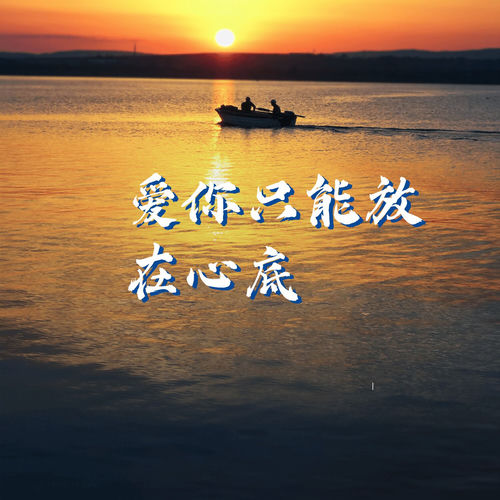 爱你只能放在心底