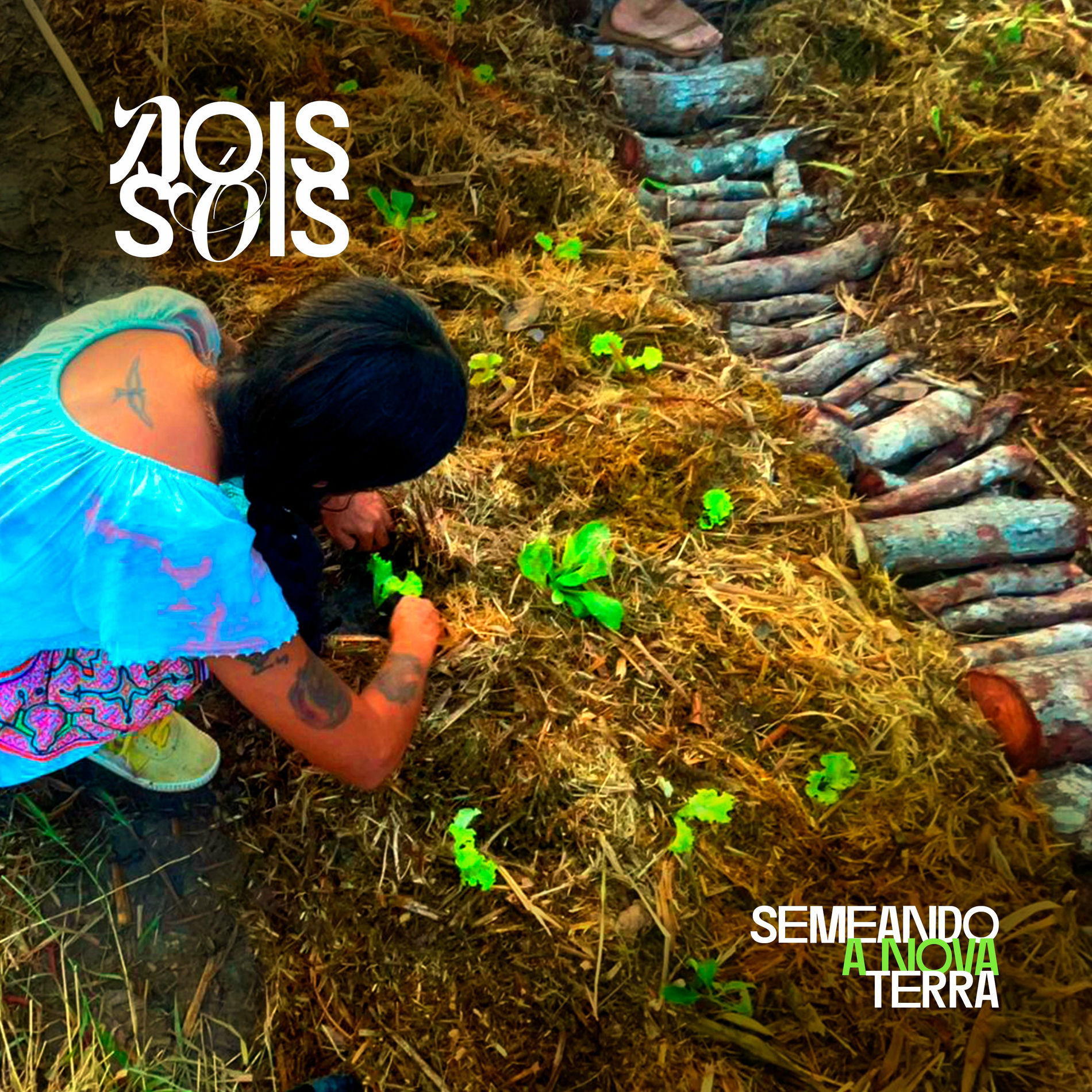 Album cover of Semeando a Nova Terra