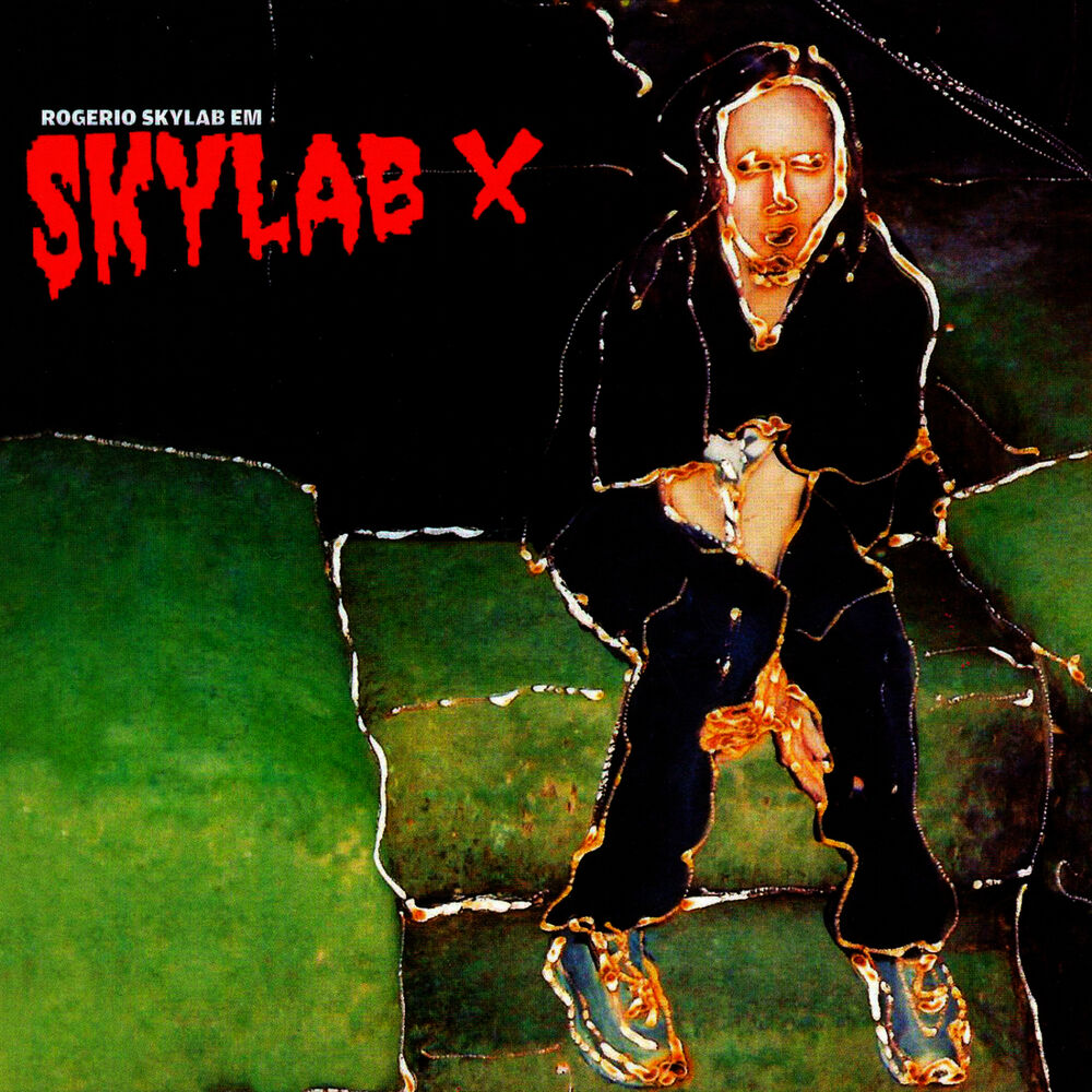 Picture of SKYLAB X