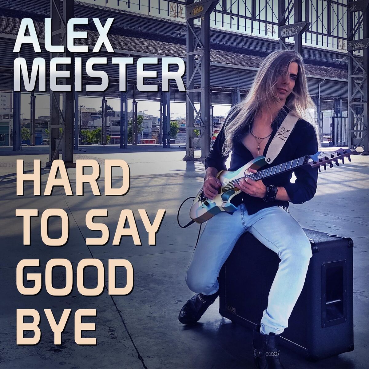 Album cover of Hard to Say Goodbye