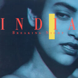 Cover of Breaking Night