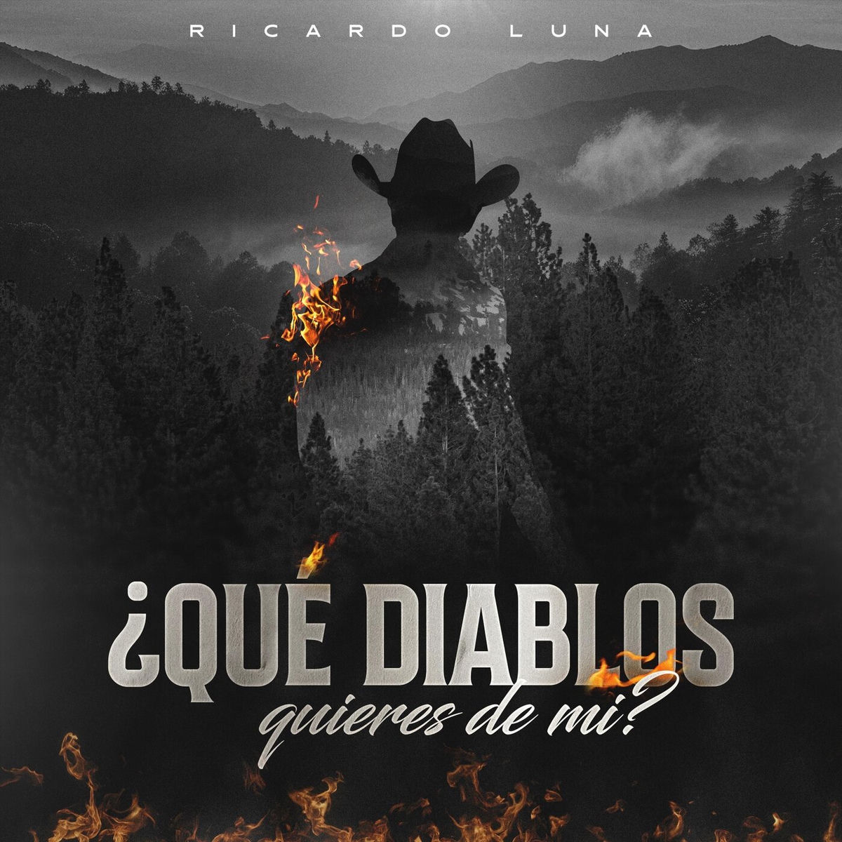 Album cover of Que Diablos Quieres De Mi