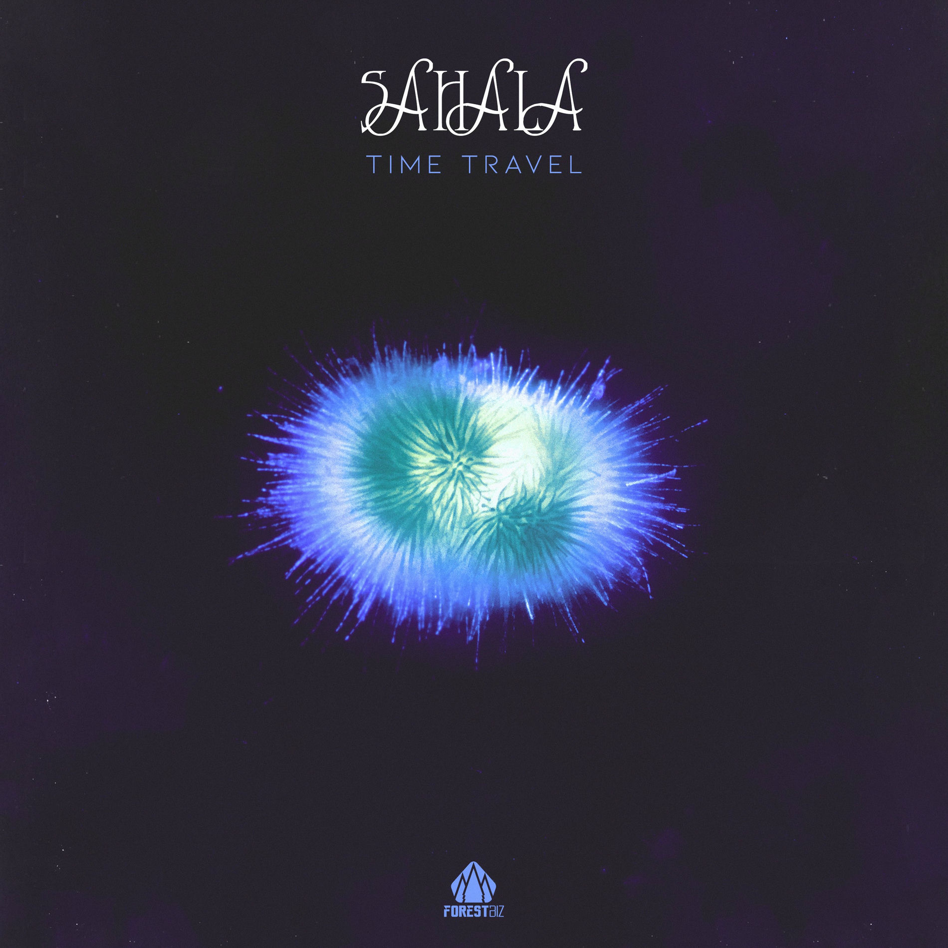 ミュージシャン Sahala sarala.jpg