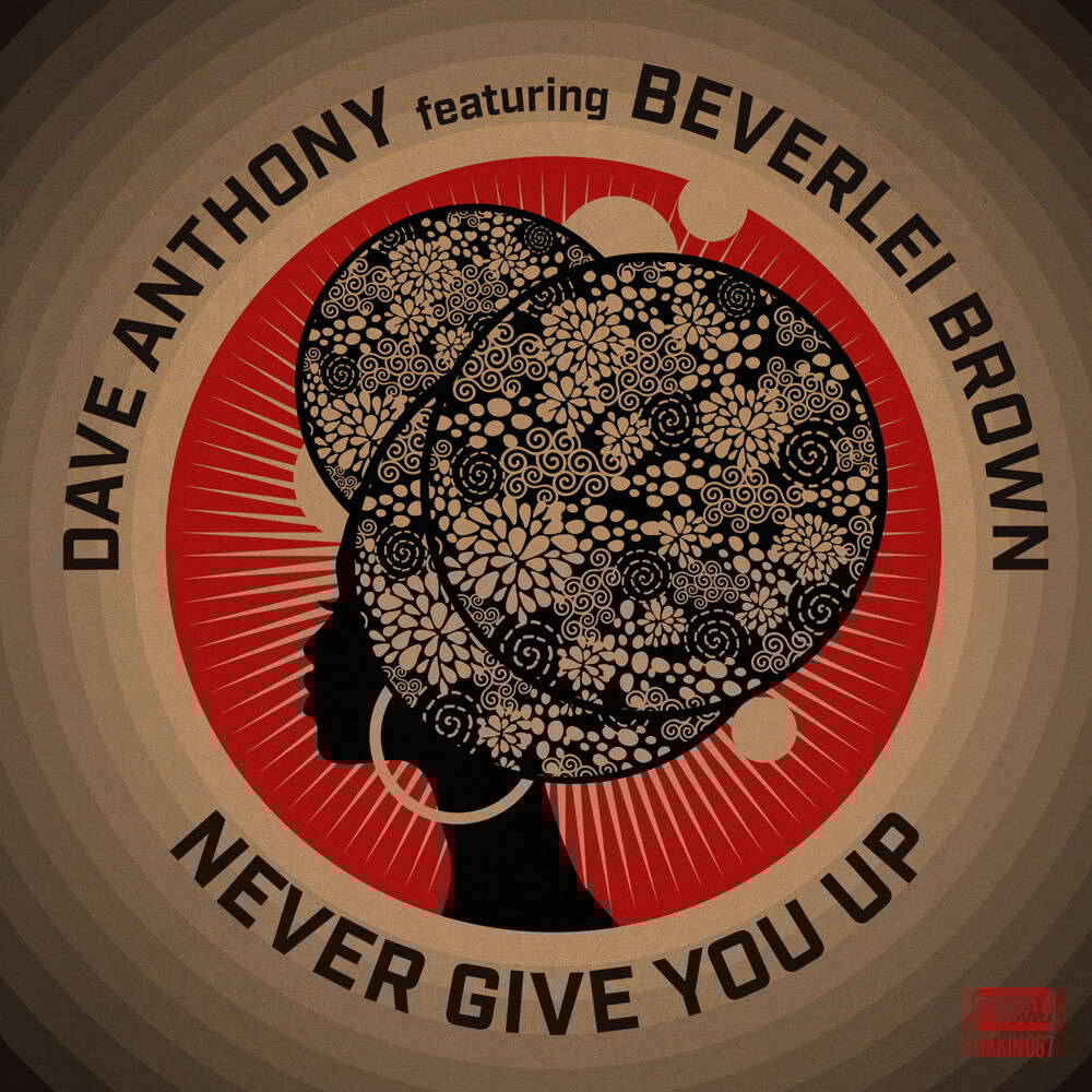 Picture of Never Give You Up