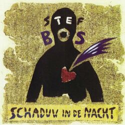 Cover of Schaduw In De Nacht