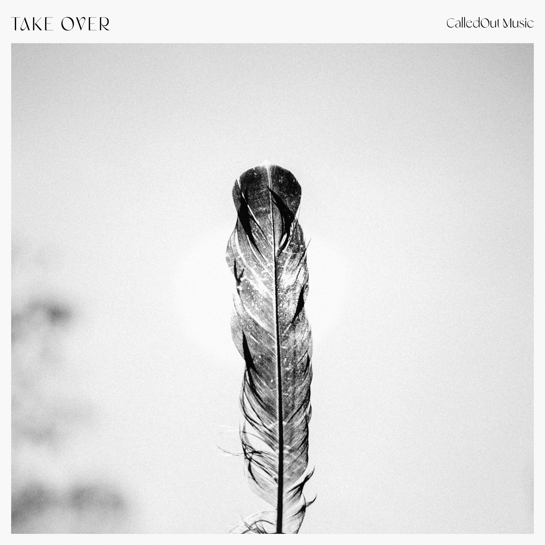 Album cover of Take Over