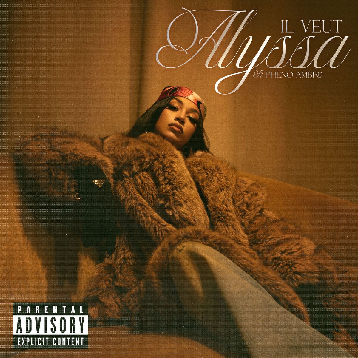 Album cover of Il Veut