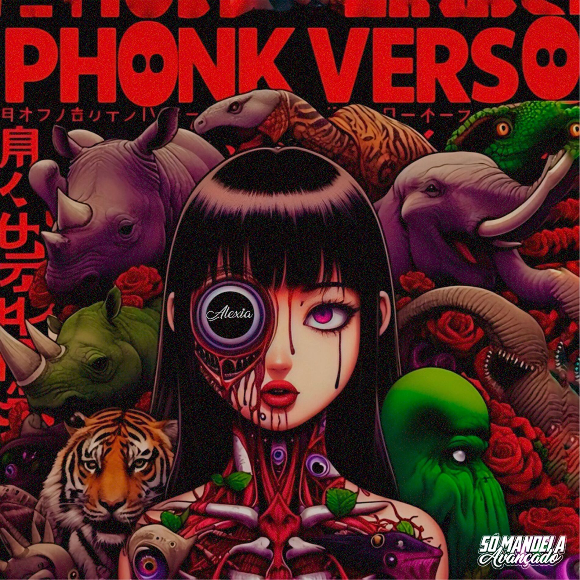 Album cover of Phonkverso
