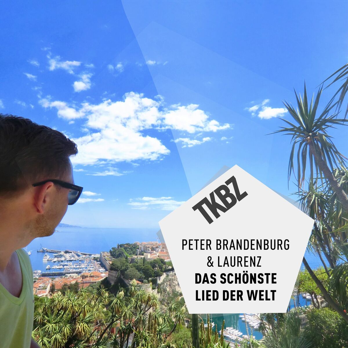 Album cover of Das schönste Lied der Welt