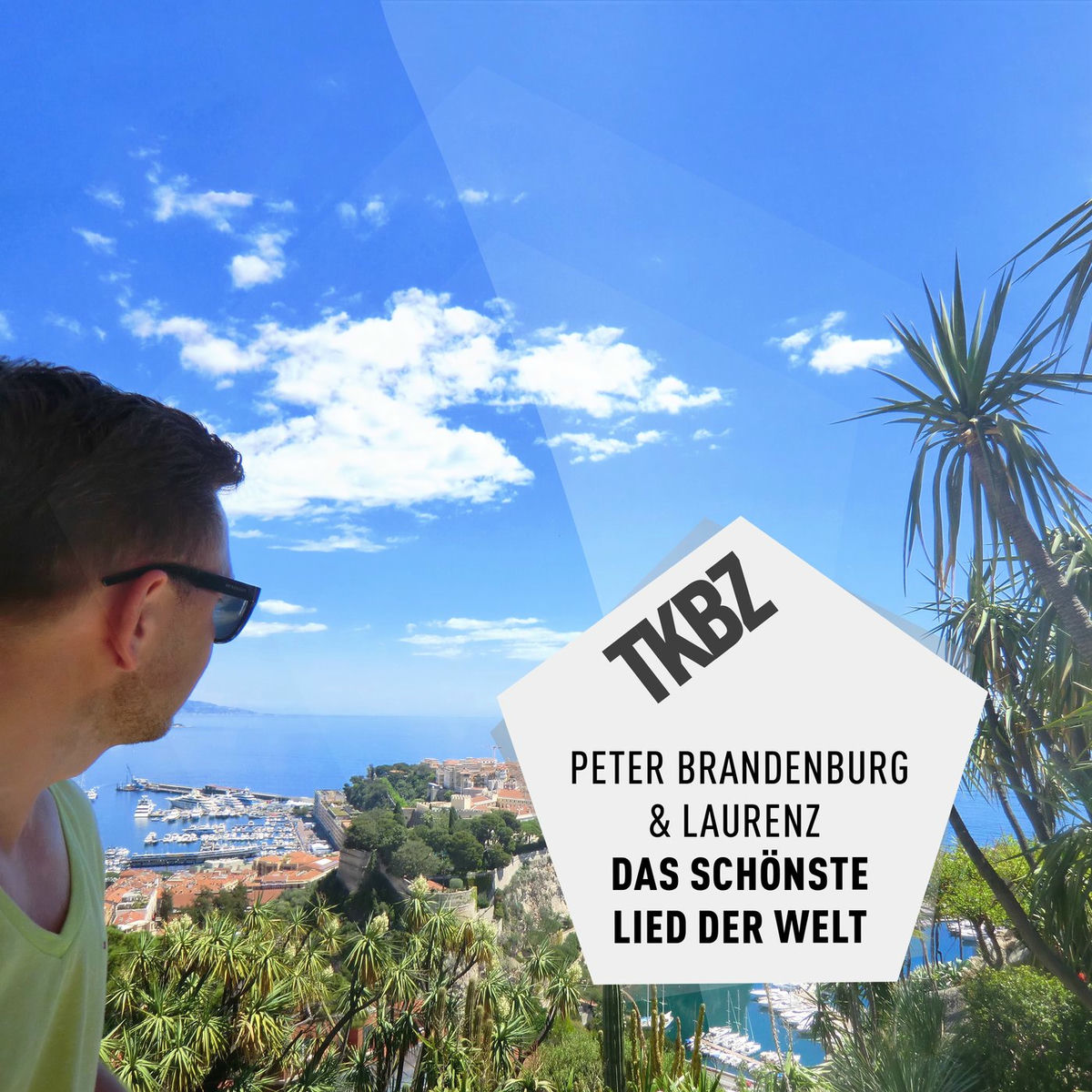 Album cover of Das schönste Lied der Welt