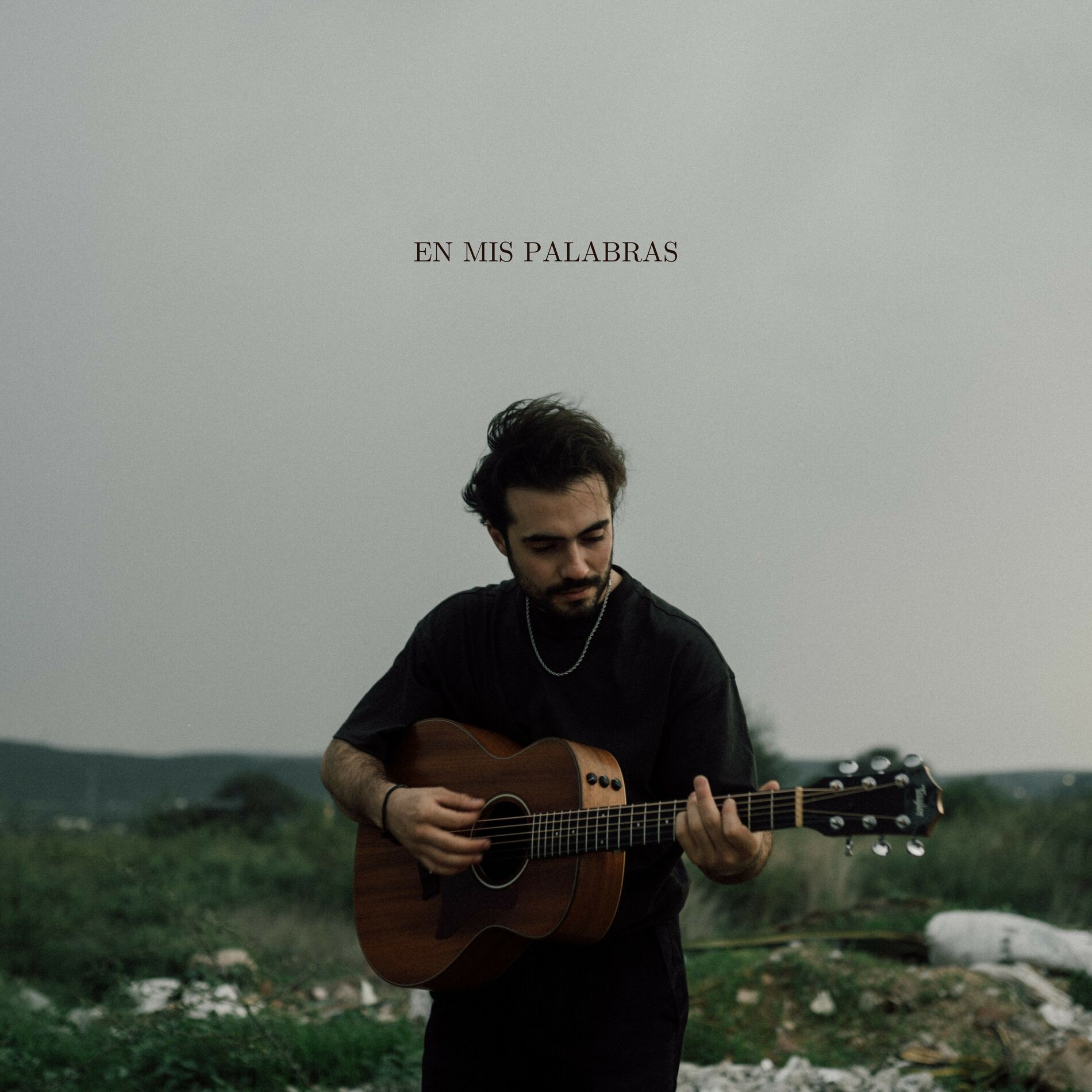 Album cover of En Mis Palabras