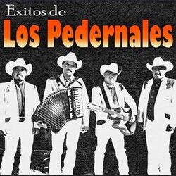 Cover of Exitos De