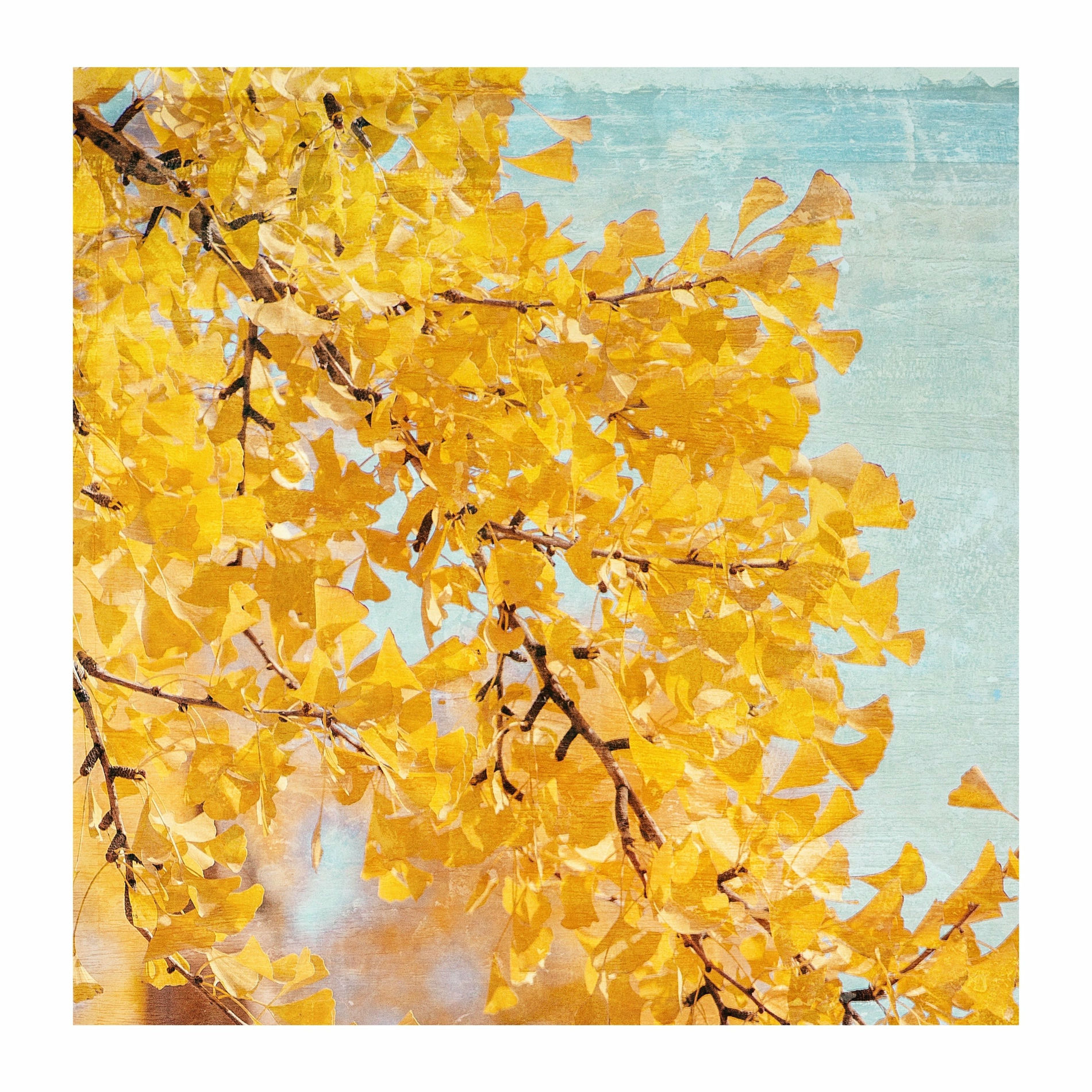 Album cover of Spooning