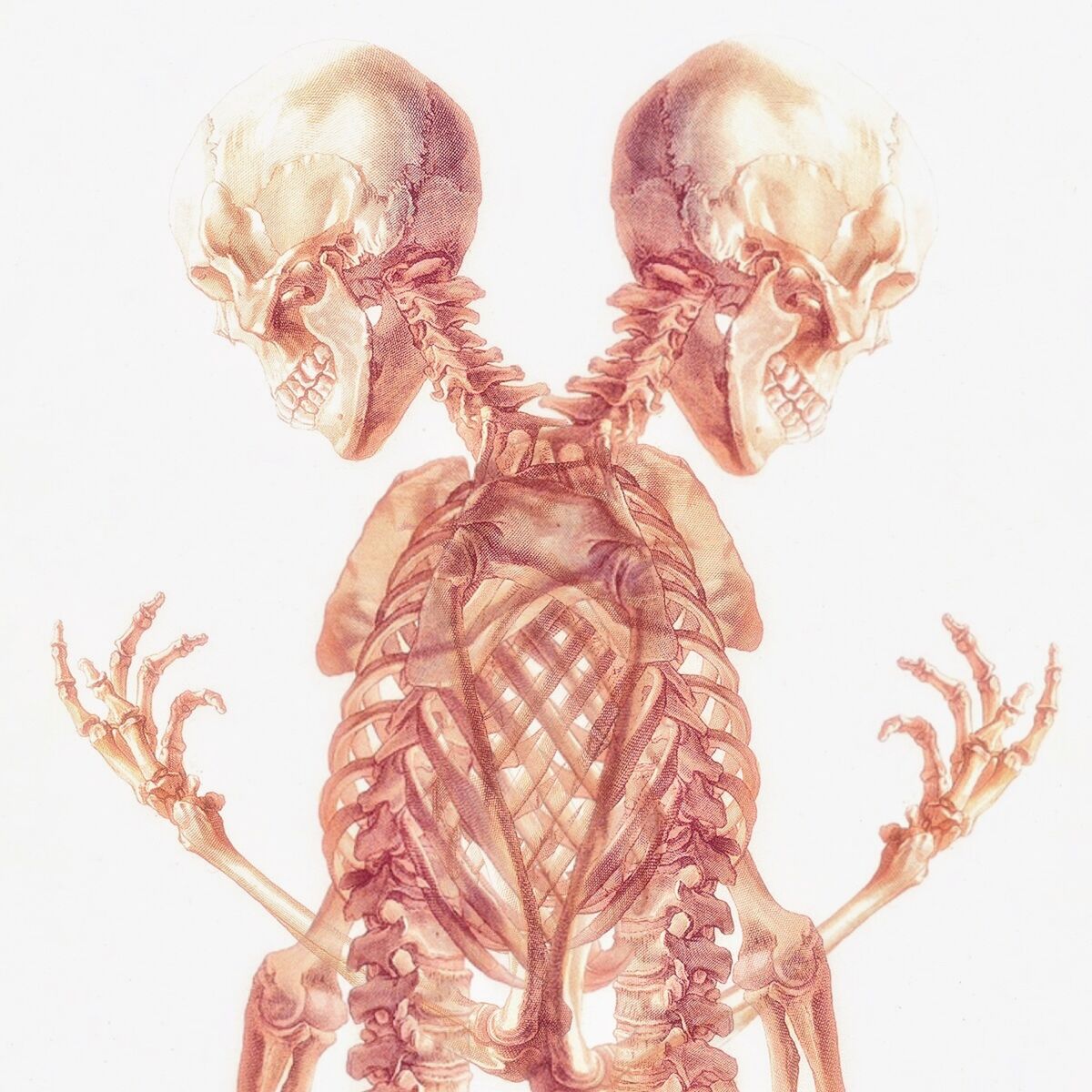 Album cover of +98