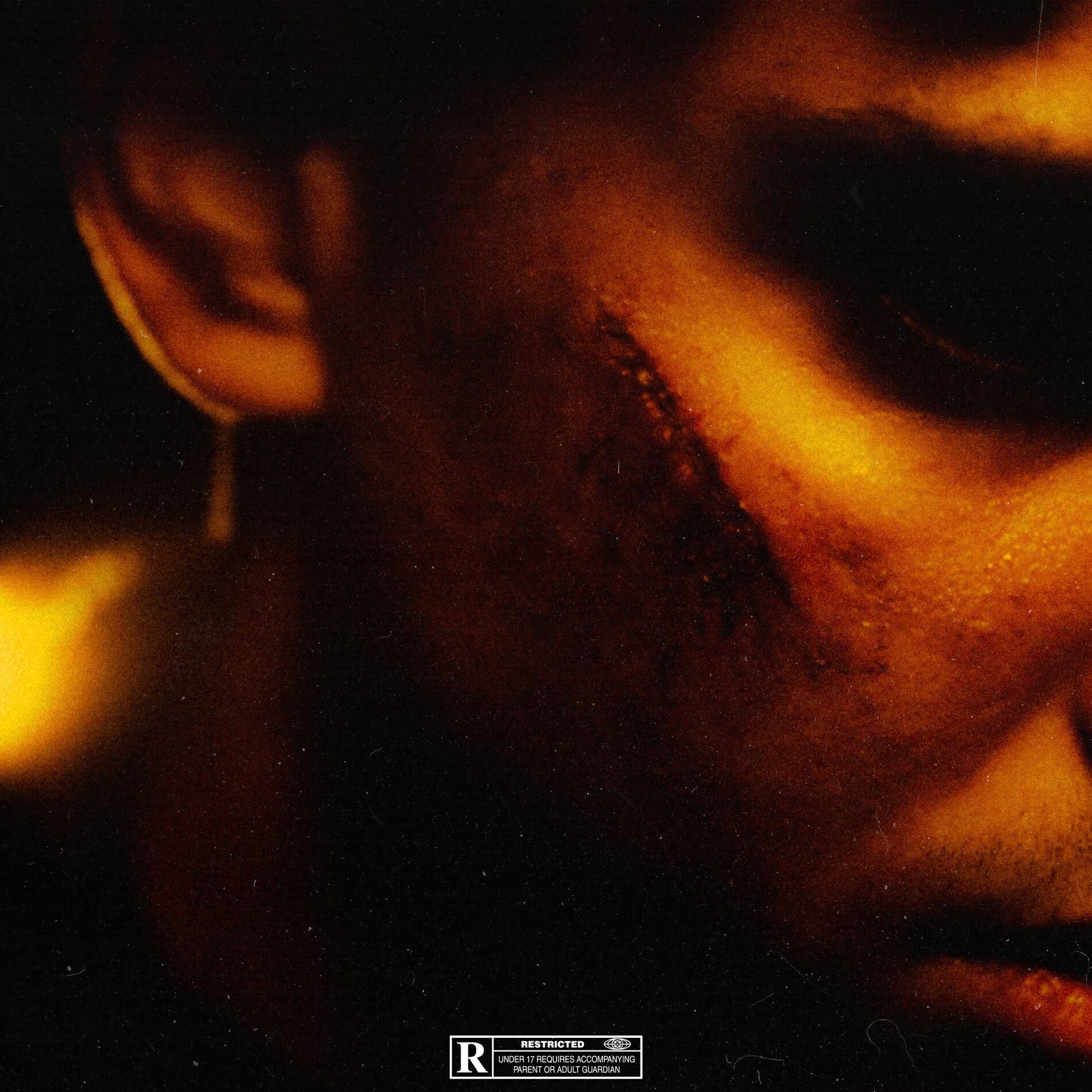 Album cover of BONSOIR