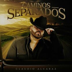 Cover of Caminos Separados