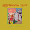 Mr. Sun by Tomorrows Tulips album cover