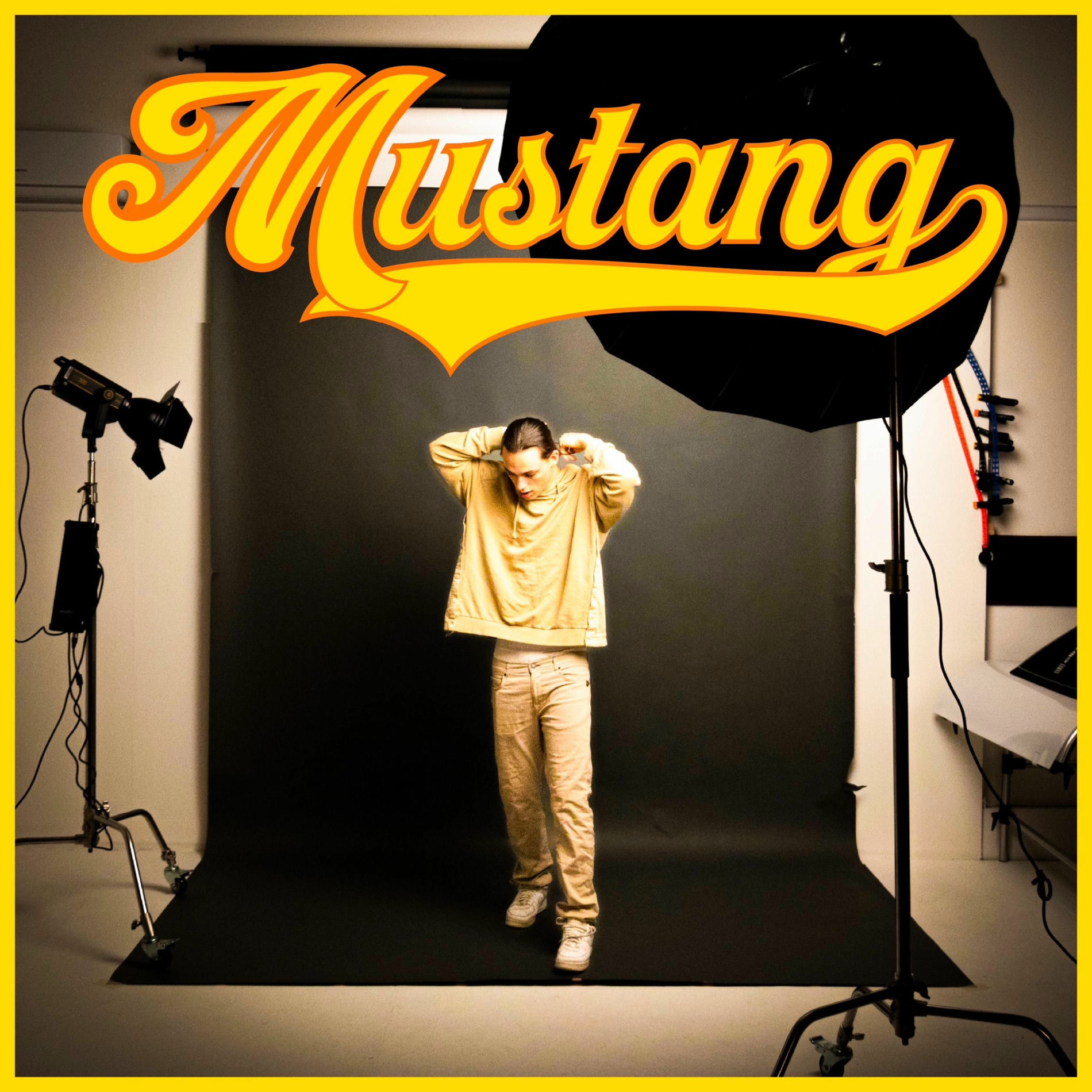 Album cover of Mustang