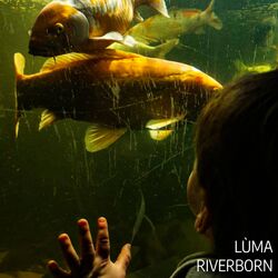 Cover of Riverborn