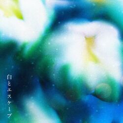Cover of Time flower