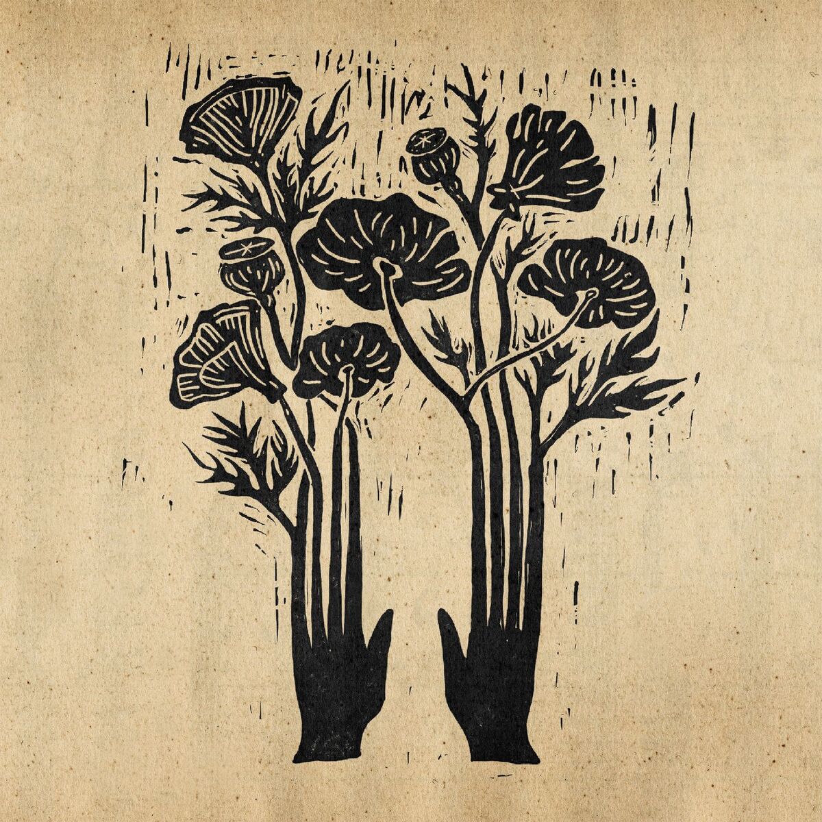 Album cover of Flowers