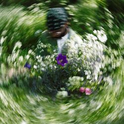 Cover of dehydrate