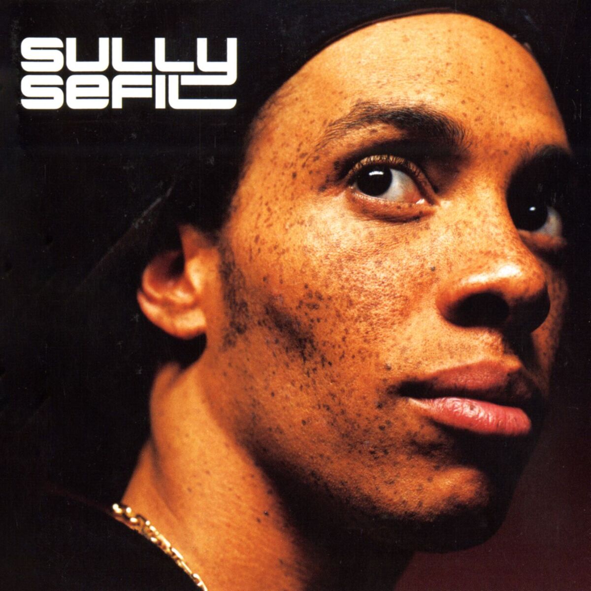 Album cover of Sullysefilistic