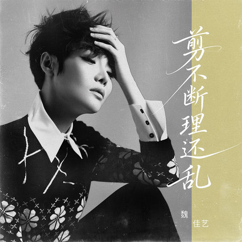剪不断理还乱 (DJ京仔版)