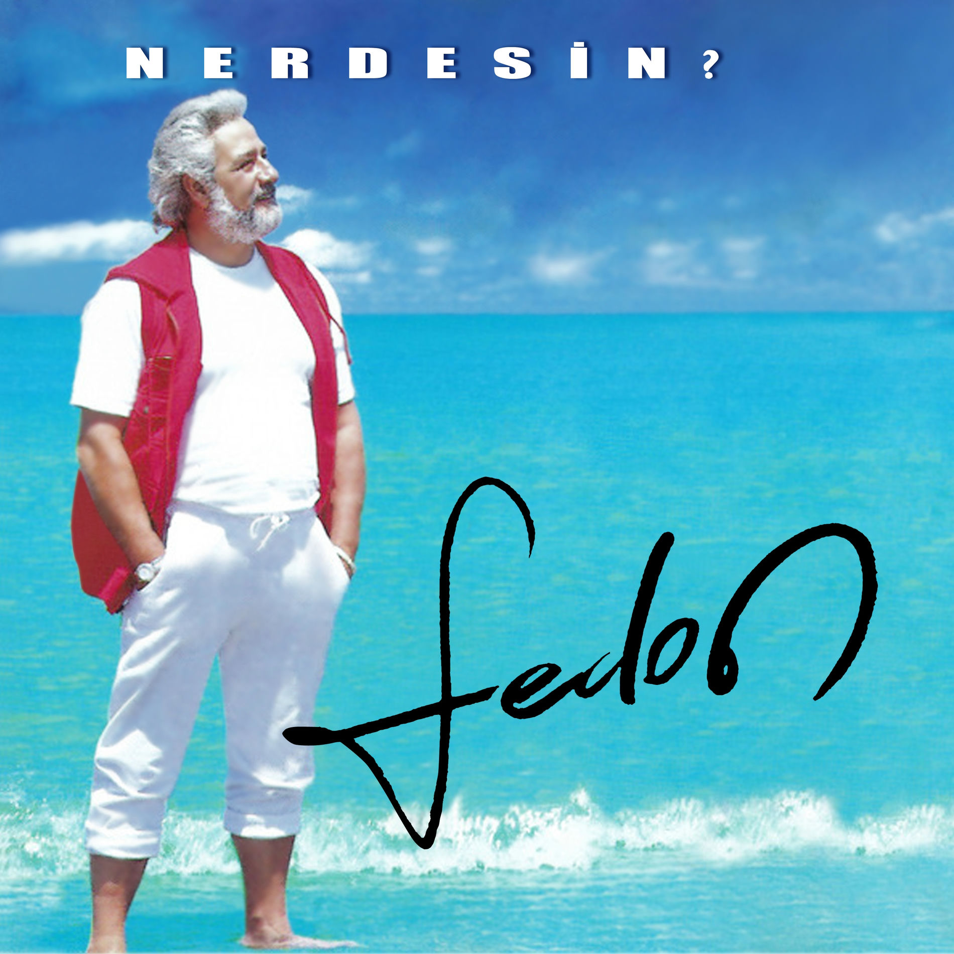 Album cover of Nerdesin