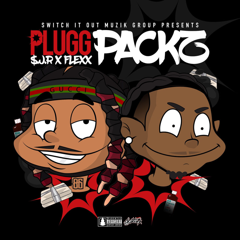 Picture of Plugg Packz