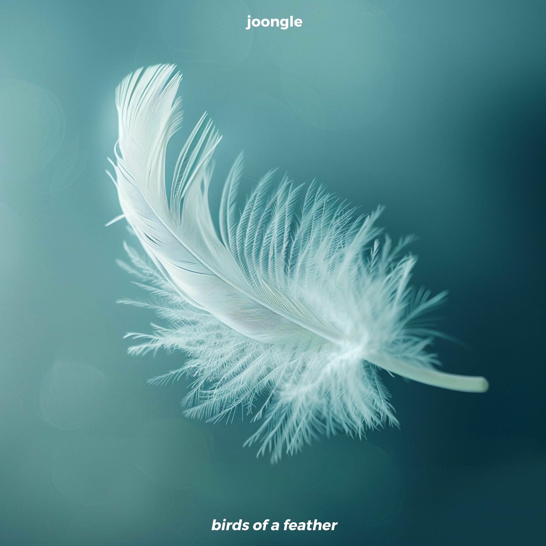 Joongle - Birds Of A Feather | Deezer