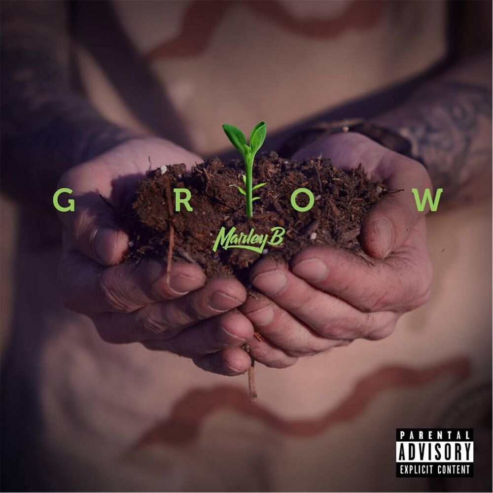 Picture of Grow