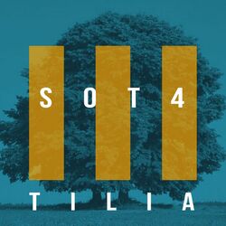 Tilia
