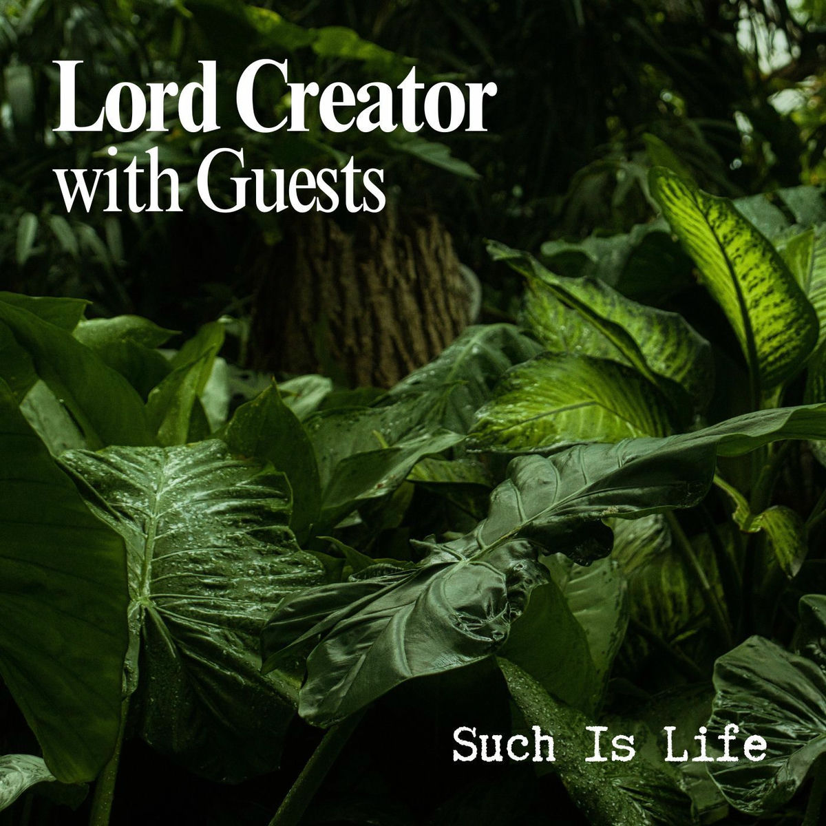 Album cover of Such Is Life: Lord Creator with Guests