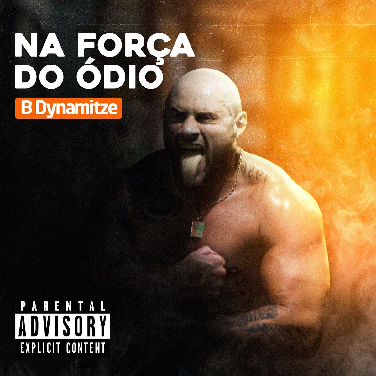Album cover of Na Força do Ódio