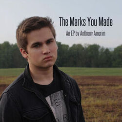 Cover of The Marks You Made