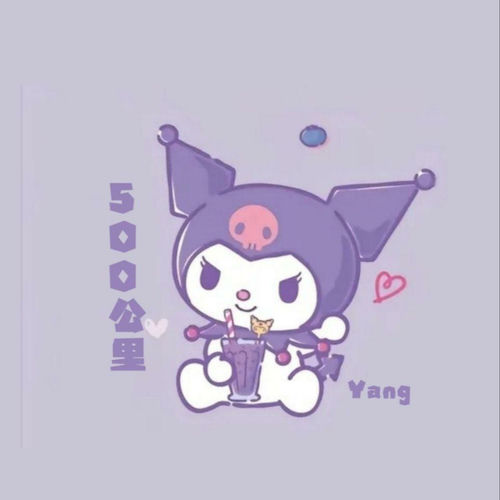 500公里
