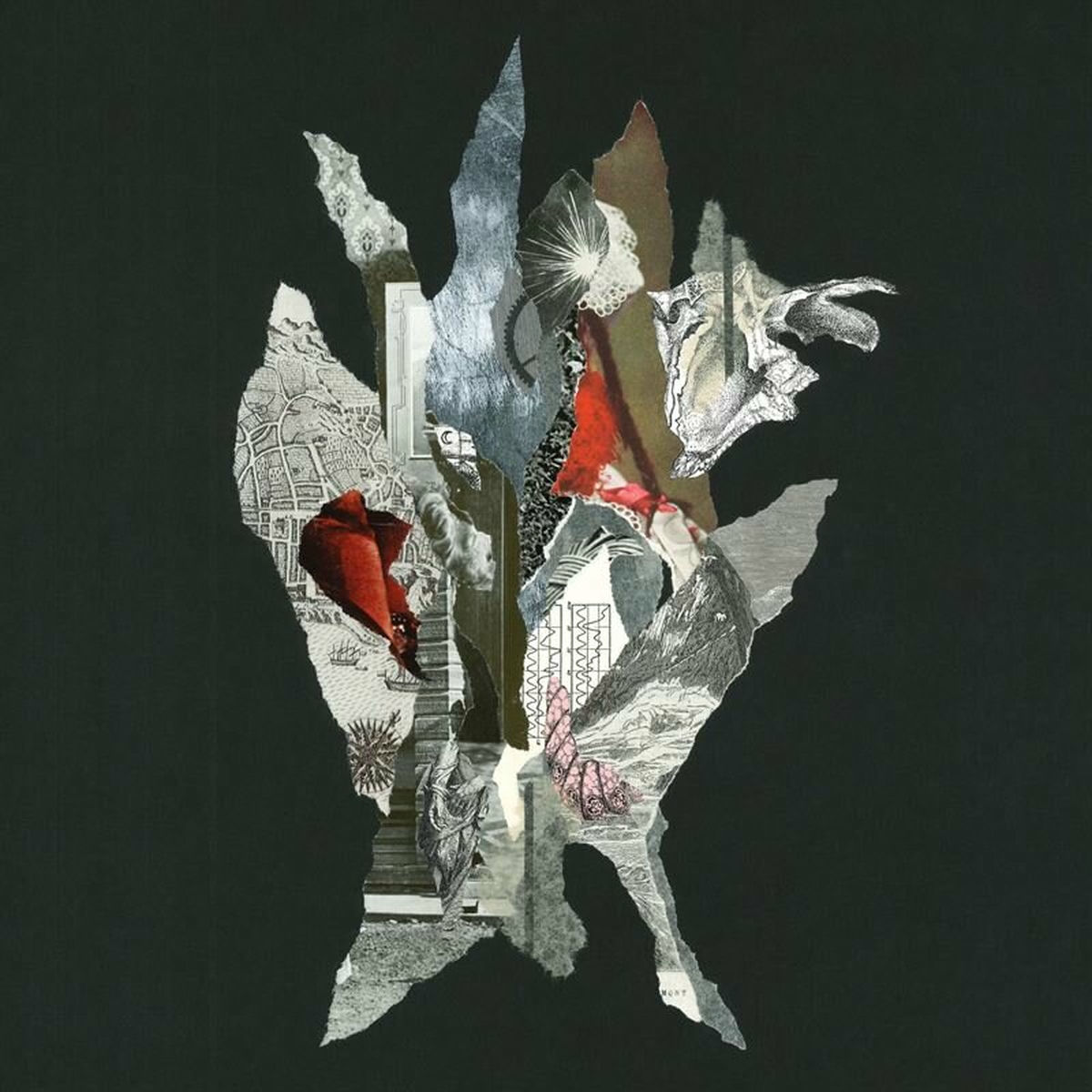 Album cover of Gravity of Gold