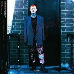 Cover of I Wrote The Danger On Your Face