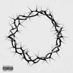 Thorn 13