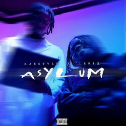Cover of Asylum