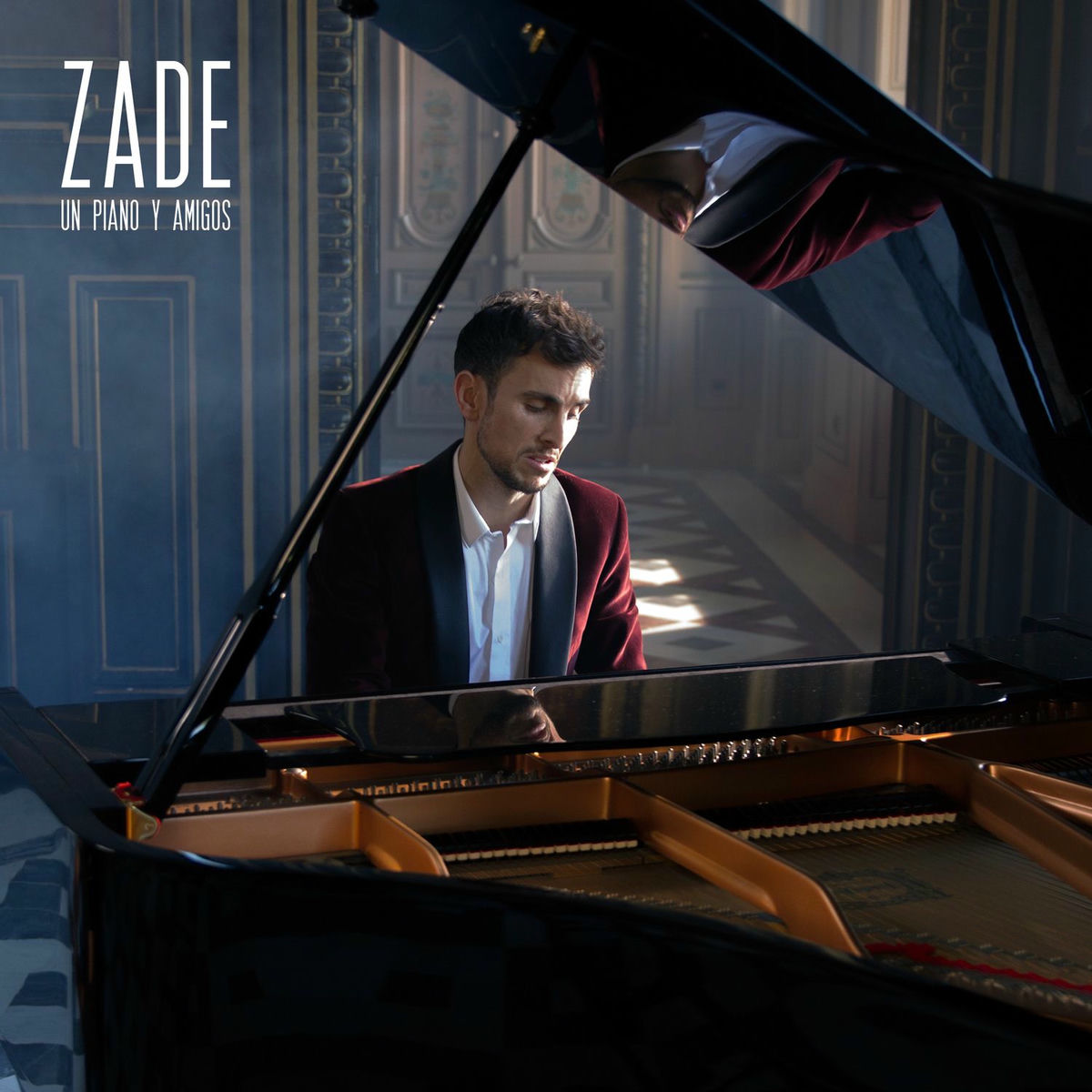 Album cover of Un Piano y Amigos
