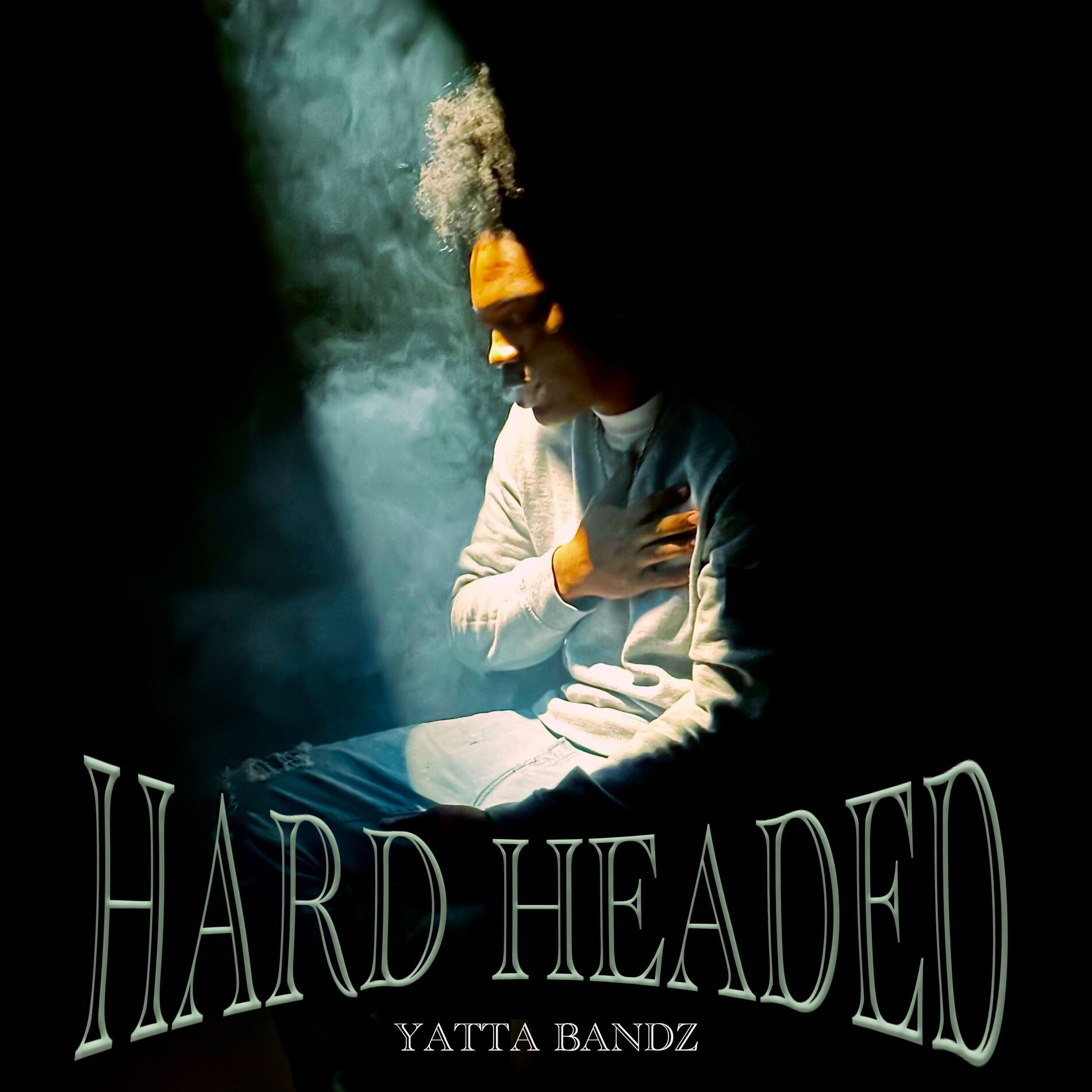 Album cover of Hard Headed
